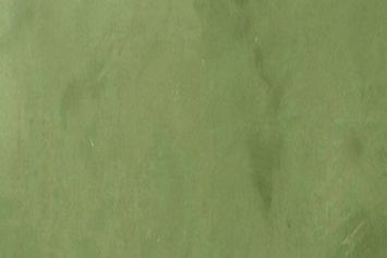 Dark Green microcement colour swatch
