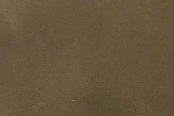 Olive microcement colour swatch