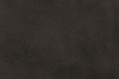 Coal