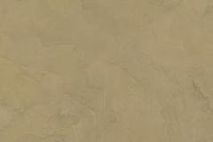 Desert