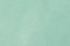 Seafoam